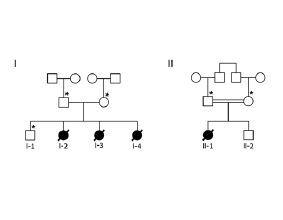 Nup214 Disease